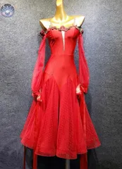 新品 未使用 華やかなスタンダードドレス！競技会やデモ、発表会に最適なデザイン 