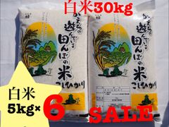 セール　コシヒカリ　千葉県産　白米30kg （5kg×6）セール　30キロ