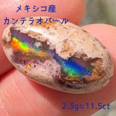 オパールの森 - メルカリShops