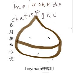 boymam様専用　おやつ便　シフォンケーキサンド　チーズケーキ　テリーヌ