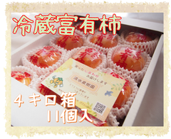 【冷蔵富有柿】4キロ箱　11個入　福岡県産
