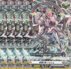 H ヴァンガード 柩機の姫 ナビレム 柩機の竜 バルビソンデ 各4枚