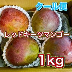 レッドキーツマンゴー900〜1kg