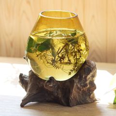 天然木 手吹きガラス アクアリウム オブジェ インドネシア 古木 職人 植物 テラリウム インテリア 癒し プレゼント ハンドメイド 唯一無二