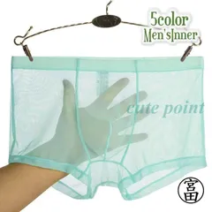 ボクサーパンツ ボクサーブリーフ ボクサーショーツ スケルトン シアー 透け感 下着 インナー メンズ 単色 無地 男性 紳士用 シンプル 前閉