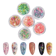 【人気商品】押し花 ネイルパーツ 6個セット ドライフラワー ネイルパーツ ネイル 押し花 レジン用 小花 ジェルネイル ネイルアート デコパーツ (マルチカラー A)