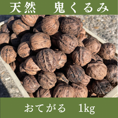 【山形県鶴岡市産】天然の鬼くるみ 1kg｜香ばしい濃厚風味・自然食品