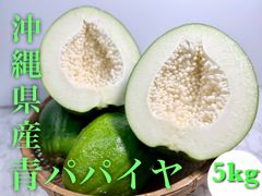 青 パパイヤ 5キロ (4カラ12)　野菜沖縄産