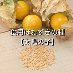 2025年最新】太陽の子 ほおずきの人気アイテム - メルカリ