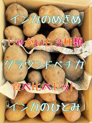 馬鈴薯3種類食べ比べセット