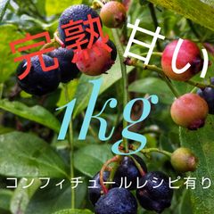 冷凍完熟ブルーベリー1kg(全国送料込み)