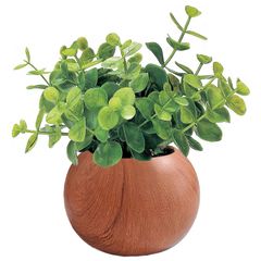 Item thumbnail for item 871567a5-99e6-42a2-8c58-8c3eb1b481bb