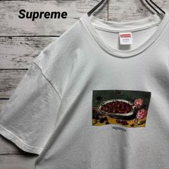 a778【美品】シュプリーム　ジャングル　最高デザイン　人気色　半袖Tシャツ a778【美品】シュプリーム ジャングル 最高デザイン 人気色 半袖