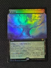 MTG 反射池/Reflecting Pool 2枚 FOIL - メルカリ
