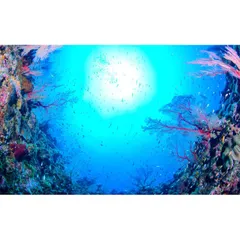 2025年最新】沖縄島建築の人気アイテム - メルカリ