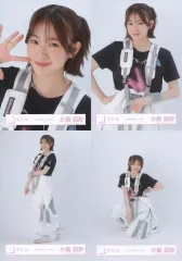 小島凪紗 東京ドー厶 ライブ会場撮りおろしプレミアム生写真 小島凪紗 東京ドー厶 ライブ会場撮りおろしプレミアム生写真