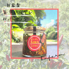 ★季節数量限定★自家製【旨辛にらダレ 秋バージョン】やみつき間違いなし！　赤プリッキーヌ入り　クール便送料込み