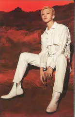 SEVENTEEN 2022 WORLD TOUR 'BE THE SUN' HOSHI トレーディングカード 13/82