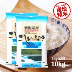 米 新潟産こしいぶき10kg  お米 10キロ 令和6年産 白米 送料無料（沖縄のぞく）