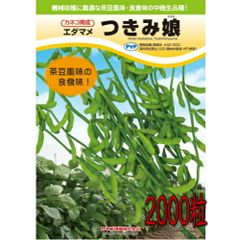 カネコ種苗 枝豆 つきみ娘 2000粒