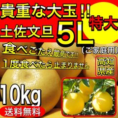 土佐 文旦  特大 ５L サイズ 10kg ご家庭用 ぶんたん 高知産土佐文旦