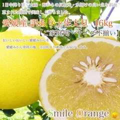 文旦 土佐文旦 16kg 訳あり ご家庭用 サイズ不揃い ぶんたん 愛媛産 Smile Orange