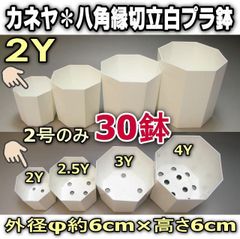 ◆平日＊日中注文即日発送-八角鉢縁切立プラ鉢-2Y(外径φ約6cm×高6cm)30鉢セット＊カネヤ兼弥産業＊多肉植物・塊根植物コーデックス・アガベ・サボテン・盆栽・観葉・ハオルチア・アデニウム・パキポディウム・実生＠フラワーショップ江口