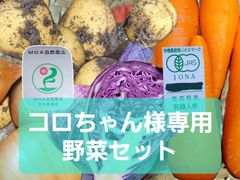 コロちゃん様専用　野菜セット