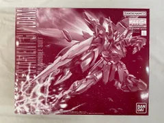【未開封】1/100 MG ZGMF-X12A/RGX-00 テスタメントガンダム 「機動戦士ガンダムSEED DESTINY ASTRAY