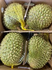 [6月5日入荷予定、入荷次第出荷]  生鮮 フレッシュ ベトナム産RI6種ドリアン  １ケース 8,5-９kg(ドリアンのみ３-４玉）
