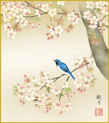 掛け軸 桜 さくら 肉質 掛軸 春 景色 壁掛け 在銘 大型 楽天市場】掛け軸 【 開運 掛軸 春爛漫 鶯と桜 [桜花 花鳥図