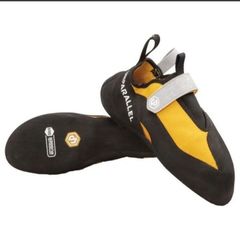 TN-pro yellow  アンパラレル