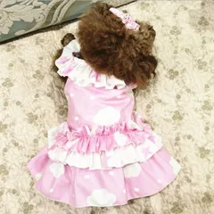 スタークラウドロリータドレス【ブリム・リボン付】犬 猫 ペット 犬服 犬の服 可愛い 人気 お揃い 小型犬 春 夏 冬 ブリム付・星柄・雲・ピンク・萌え・ロリータ・フリフリ・セットアップ・コスプレ　ペア お揃い 夏服 犬服 rumor ルモール