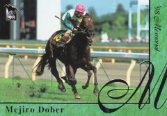 【競馬】メモリアルカード等セット　ケース付き 馬番馬券ケース（ストラップ付）8番 | Pay ID