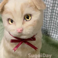 スコティッシュフォールド　羊毛フェルト　全身タイプ