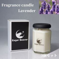 アロマキャンドル セット ラベンダー ソイワックス キャンドル ルームフレグランス 合計90時間 110g×3個