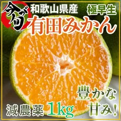 ☆有田みかん 極早生 ゆら早生1㎏ ミカン 減農薬 産地直送 高糖度2210