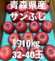 🍎青森県産🍎　りんご　サンふじ　約10㎏32-40玉