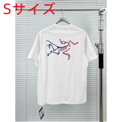 Arc'teryx アークテリクスKRAGG　Tシャツ　レディース　メンズ　半袖Tシャツ 男女兼用　ホワイト　Ｓ