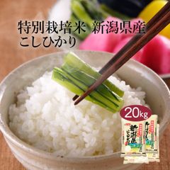 米 精米 新潟県 特別栽培米 こしひかり 20kg (5kg×4) 令和6年産 JA北越後指定 お米 白米 おくさま印 国産 食品 ギフト 引っ越し 挨拶 出産 内祝い お中元 お歳暮 結婚 快気 還暦 香典返し お年賀 送料無料