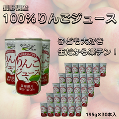 【八百屋でのリピート率90%以上！大人が好きなリンゴジュース】 100％リンゴジュース  長野県産 1箱（30個入）