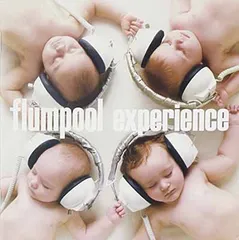 experience 【通常盤】 [Audio CD] flumpool