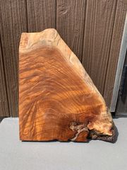 センダン 栴檀 一枚板 44cm 板材 木材 [558]