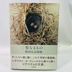 聖なるもの 野田弘志画集