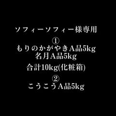 青森県産 りんご 15kg まとめて発送