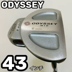 2025年最新】オデッセイ 長尺の人気アイテム - メルカリ