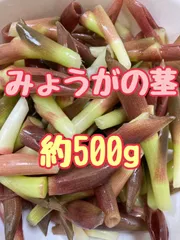 2025年最新】みょうがの人気アイテム - メルカリ