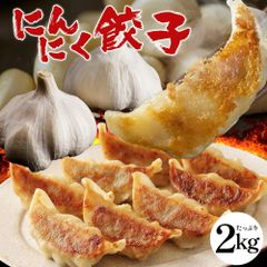 【 青森県産にんにく 使用 】にんにく激まし餃子 2パック×50個  計100個 パリッとジューシー！ 餃子計画 餃子 ぎょうざ ギョウザ 生餃子 冷凍餃子 冷凍生餃子 冷凍食品 送料無料 国産素