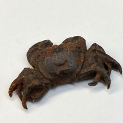 木製提物根付玉松銘蝙蝠彫刻木彫【MA900】 | Buyee日本代購服務