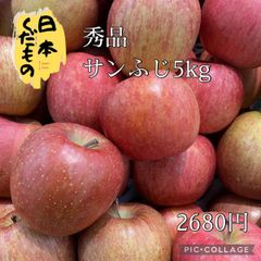 秀品　5kg　サンふじ　箱重量込み　商品説明お読みください。